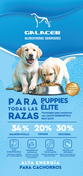 Captura de pantalla 2026-10-30 133821 PALET GALACER SELECTION ELITE PUPPIES 18kg //ENVIO GRATIS - Imagen 1