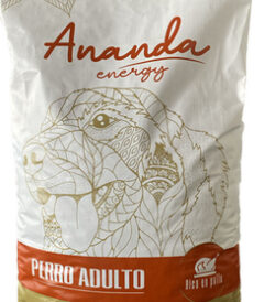 Pienso Ananda Energy Galacer